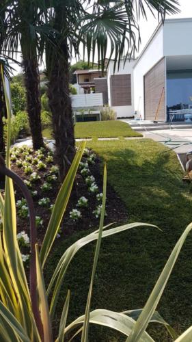 Villa 2  Padenghe sul Garda (BS) giardino IMG-20190625-WA0006