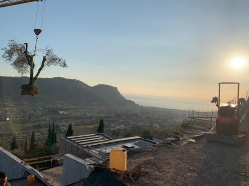Ville Costermano (VR) cantiere ulivo e tramonto IMG-20190308-WA0009